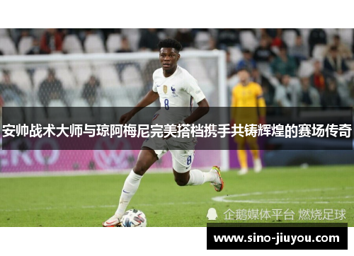 安帅战术大师与琼阿梅尼完美搭档携手共铸辉煌的赛场传奇