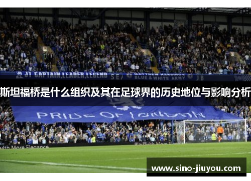 斯坦福桥是什么组织及其在足球界的历史地位与影响分析