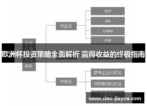 欧洲杯投资策略全面解析 赢得收益的终极指南 欧洲杯投资策略全面解析 赢得收益的终极指南