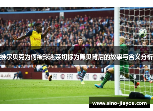 维尔贝克为何被球迷亲切称为黑贝背后的故事与含义分析 维尔贝克为何被球迷亲切称为黑贝背后的故事与含义分析