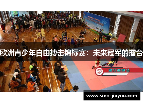 欧洲青少年自由搏击锦标赛：未来冠军的擂台