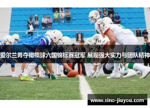爱尔兰勇夺橄榄球六国锦标赛冠军 展现强大实力与团队精神 爱尔兰勇夺橄榄球六国锦标赛冠军 展现强大实力与团队精神