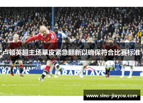 卢顿英超主场草皮紧急翻新以确保符合比赛标准