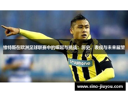 维特斯在欧洲足球联赛中的崛起与挑战：历史、表现与未来展望