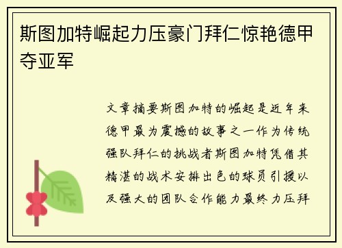 斯图加特崛起力压豪门拜仁惊艳德甲夺亚军 斯图加特崛起力压豪门拜仁惊艳德甲夺亚军